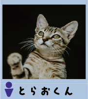 torao